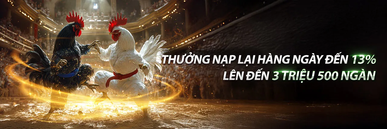 Đá Gà Trực Tiếp Ngoại Giao kịch tính